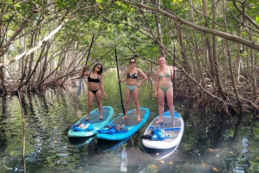 North Miami: Nature & Island Exploration on SUP/Kayak - The Island Break: Fruit, Swimming, and Cold Drinks