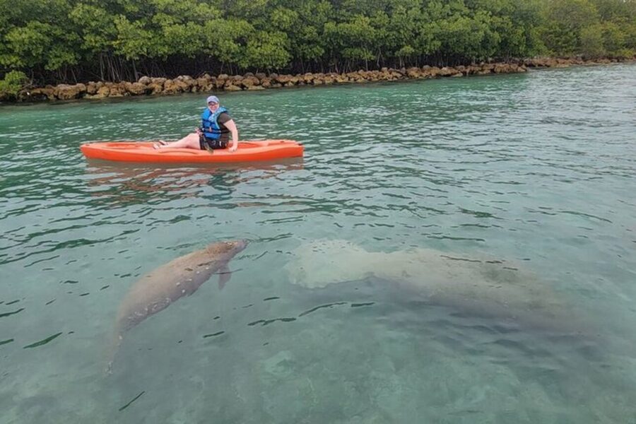 North Miami: Nature & Island Exploration on SUP/Kayak - What the $99 Price Really Covers