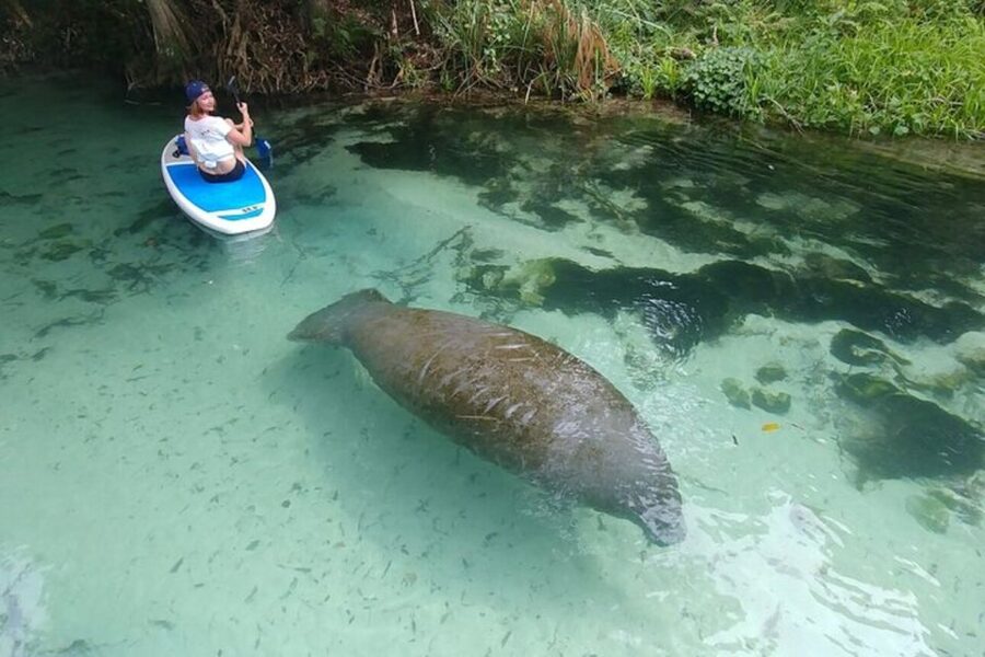 North Miami: Nature & Island Exploration on SUP/Kayak - Who Should Book This Miami Nature Trip?