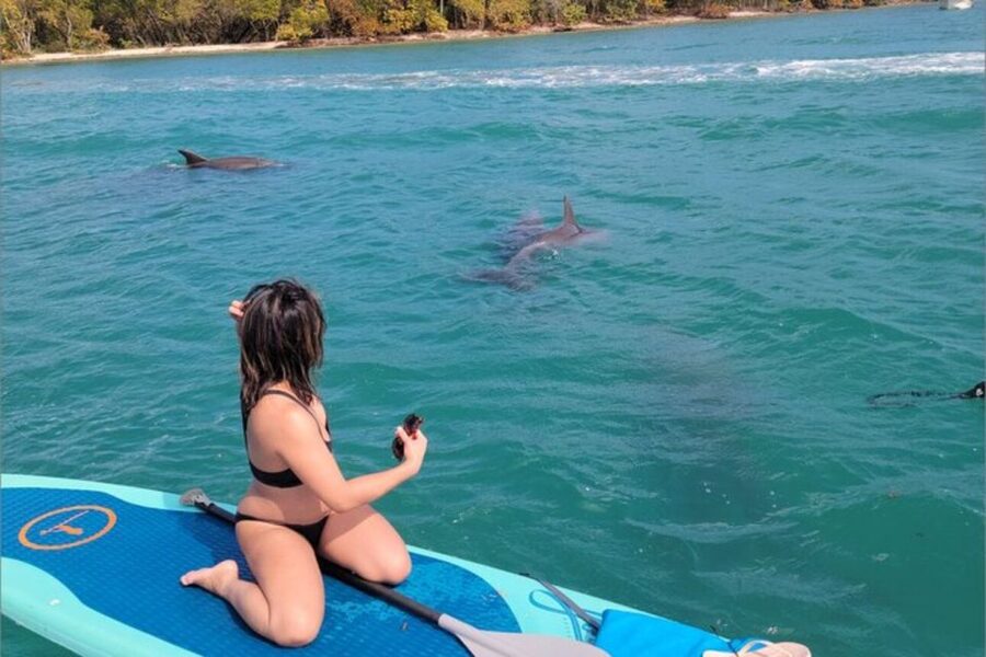 North Miami: Nature & Island Exploration on SUP/Kayak - Finding CATARIA at Venetian Marina