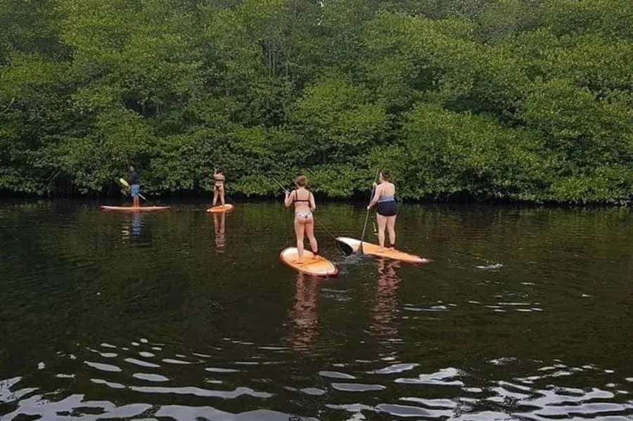 Nusa Penida: Snorkel 3 Spots w/ GoPro & Mangrove Paddle Tour - The mangrove paddle brings a change of pace