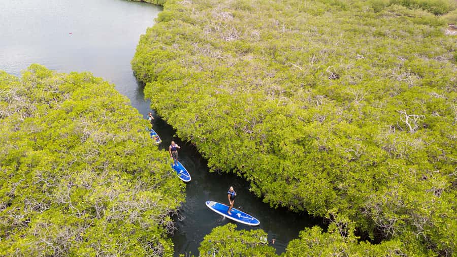 Nusa Penida: Snorkel 3 Spots w/ GoPro & Mangrove Paddle Tour - Lunch is a pause, not part of the bargain price