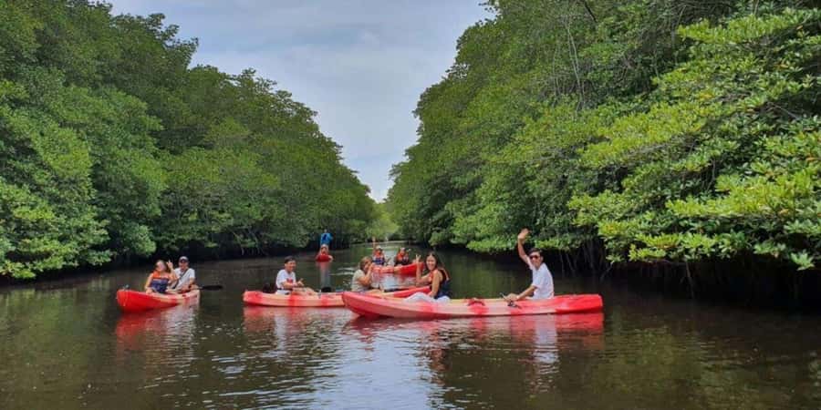 Nusa Penida: Snorkeling 3 Spots with GoPro & Kayak Mangroves - Sea conditions, road conditions, and comfort