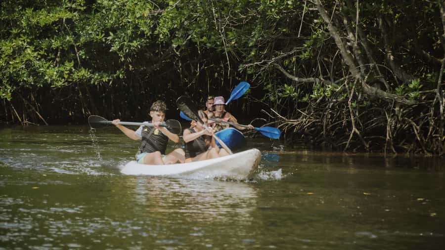 Nusa Penida: Snorkeling 3 Spots with GoPro & Kayak Mangroves - How the $16 price compares with the actual value