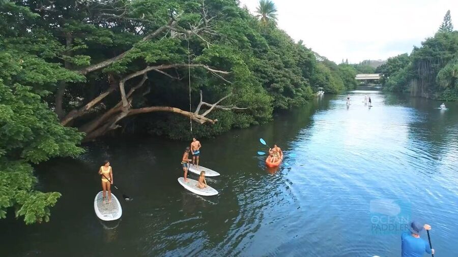 Oahu: North Shore Haleiwa Paddleboard River Adventure - Small details that improve the outing