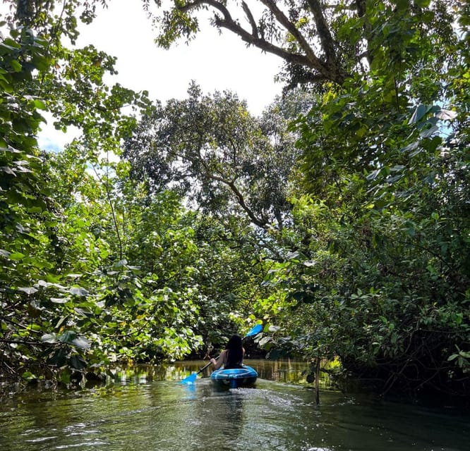 Oahu: Single & Double Kayak 3-Hour River Rental - Setting out from Kahana River