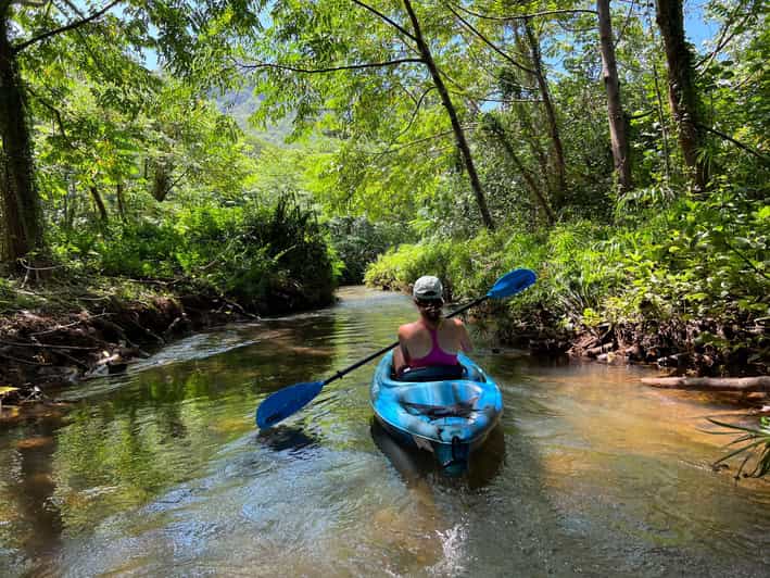 Oahu: Single & Double Kayak 3-Hour River Rental - Paddling the river at an easy pace