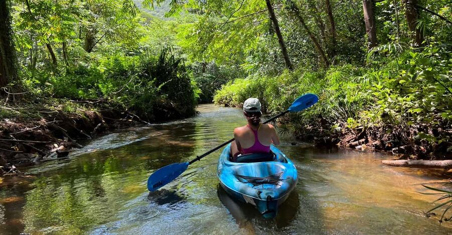 Oahu: Single & Double Kayak 3-Hour River Rental - Continuing toward Kahana Bay