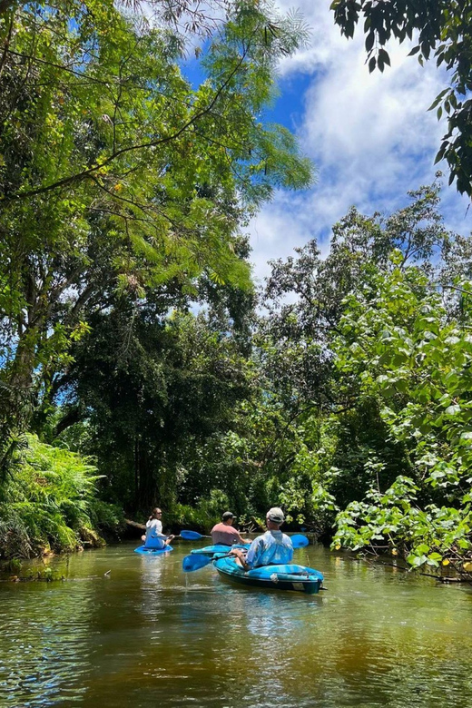 Oahu: Single & Double Kayak 3-Hour River Rental - The value of $75 per person