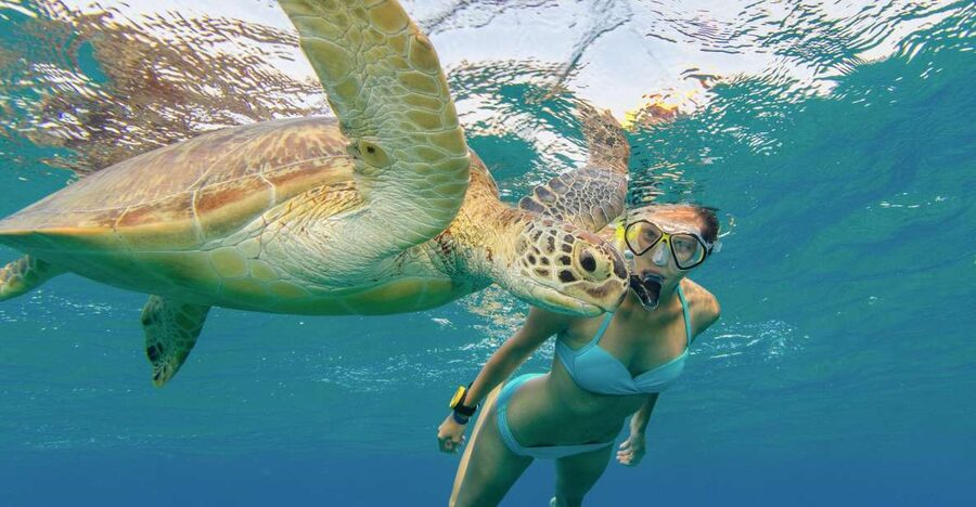 Oahu Snorkeling with Turtles, Water Scooter, Paddleboard - Who will enjoy this two-hour outing