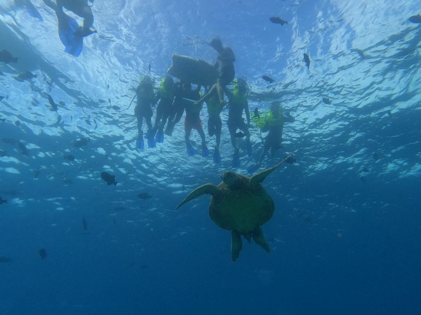 Oahu Snorkeling with Turtles, Water Scooter, Paddleboard - From Waikiki pickup to Turtle Canyon
