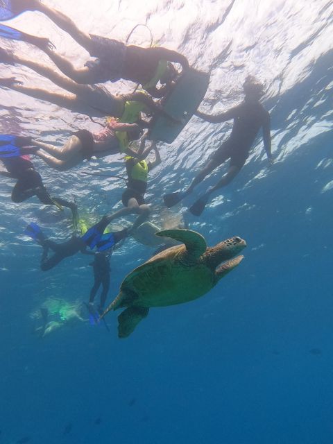 Oahu Snorkeling with Turtles, Water Scooter, Paddleboard - Paddleboarding in open water