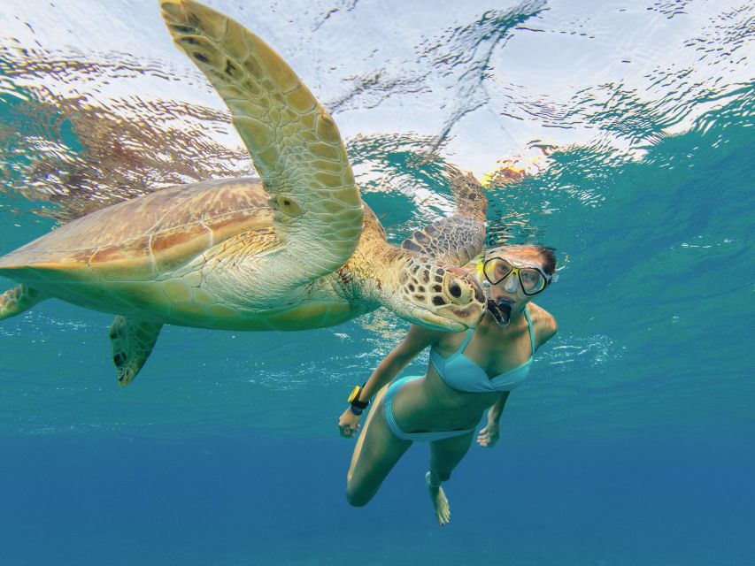 Oahu Snorkeling with Turtles, Water Scooter, Paddleboard - Photos, GoPro rental, and the memory factor