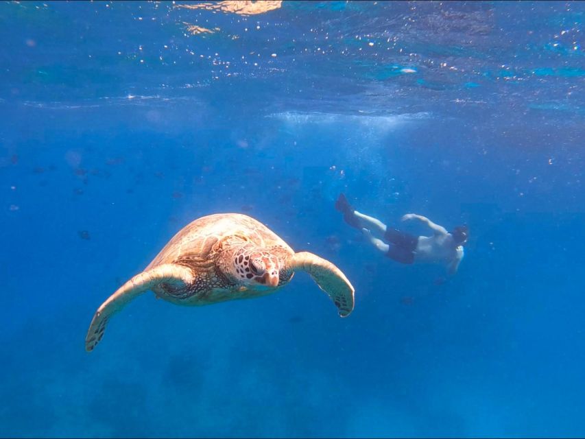 Oahu Snorkeling with Turtles, Water Scooter, Paddleboard - What the $120 price really includes