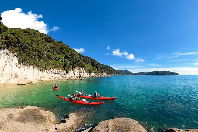 Oarsome Marine Reserve Kayak Tour - Key points at a glance