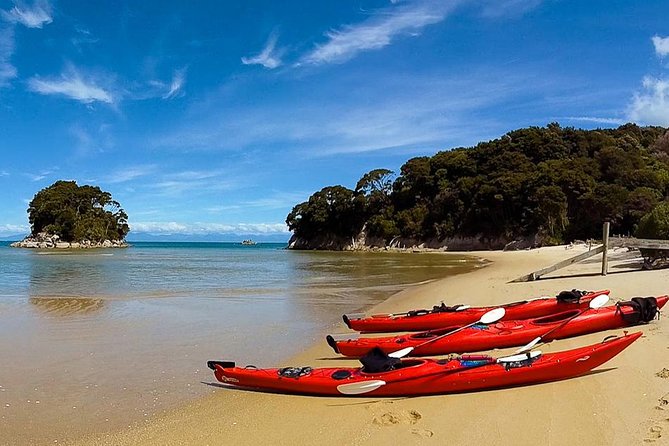 Oarsome Marine Reserve Kayak Tour - The guides make a practical difference