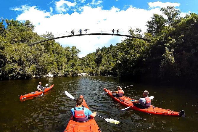 Oarsome Marine Reserve Kayak Tour - Who should book this kayak tour?