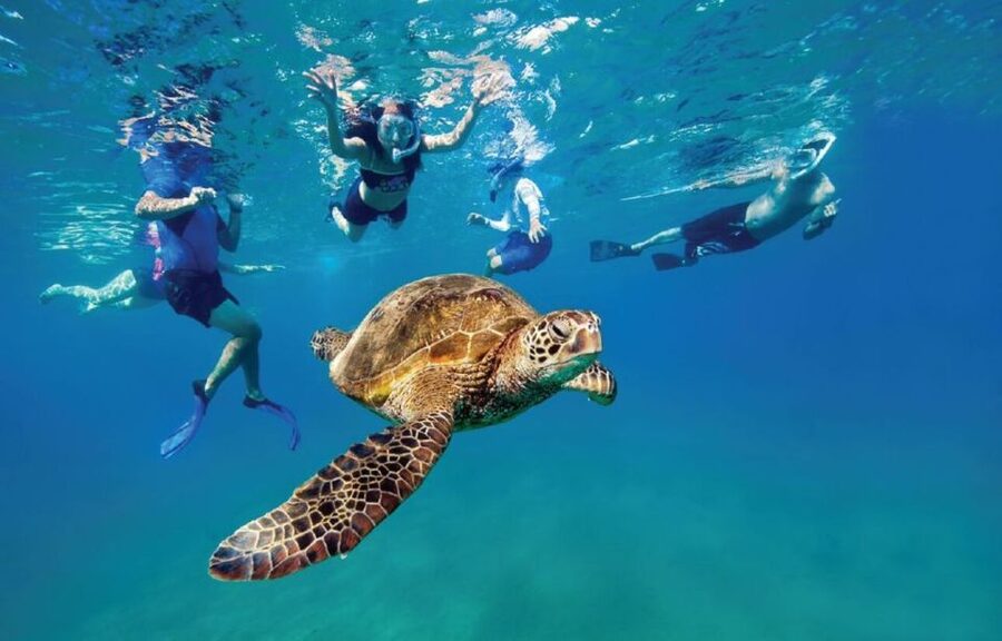 Ocean Reef Snorkeling and Paddleboarding - Why this Dania Beach outing feels different