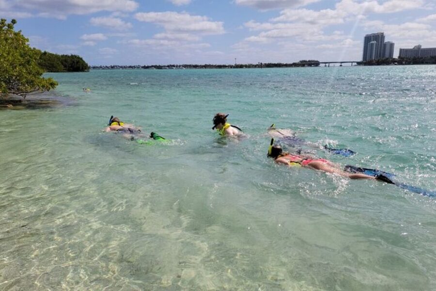 Ocean Reef Snorkeling and Paddleboarding - What you might see below the surface