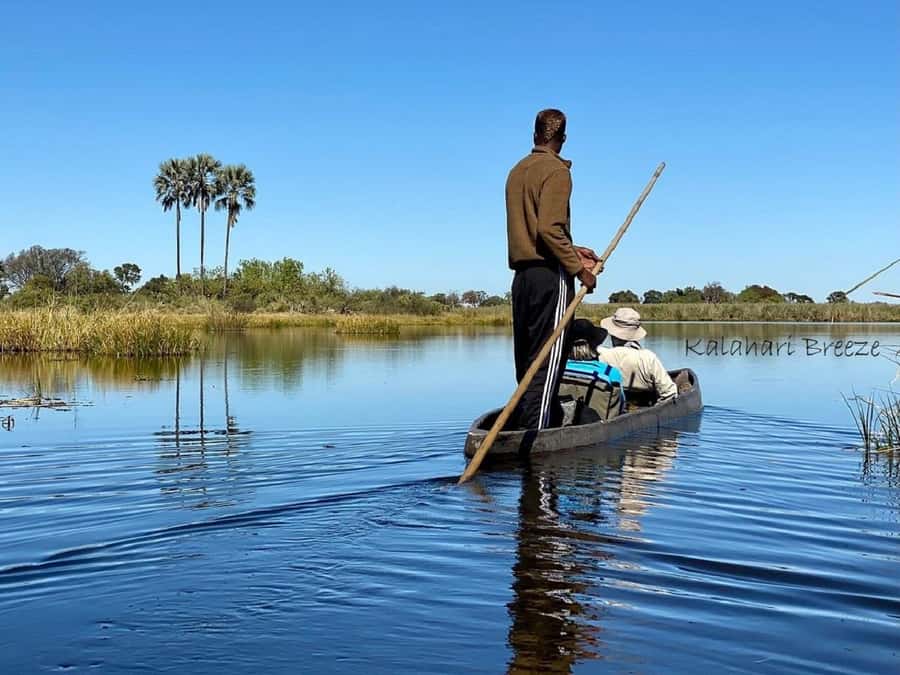 Okavango Delta: Full-Day Mokoro/Canoe Tour All-Inclusive - The first mokoro ride through reeds and channels