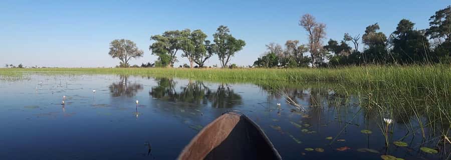 Okavango Delta: Full-Day Mokoro/Canoe Tour All-Inclusive - Who will enjoy this day most
