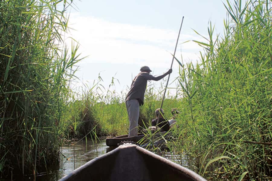 Okavango Delta: Mokoro Day Tour - The Boro channels by traditional canoe