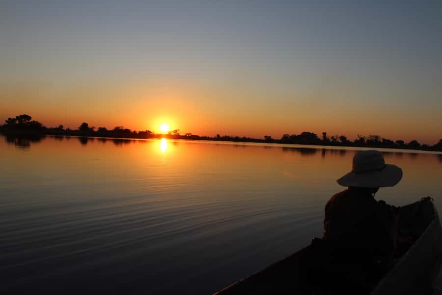 Okavango Delta: Mokoro Day Tour - From Maun to Audi Camp and Boro Station