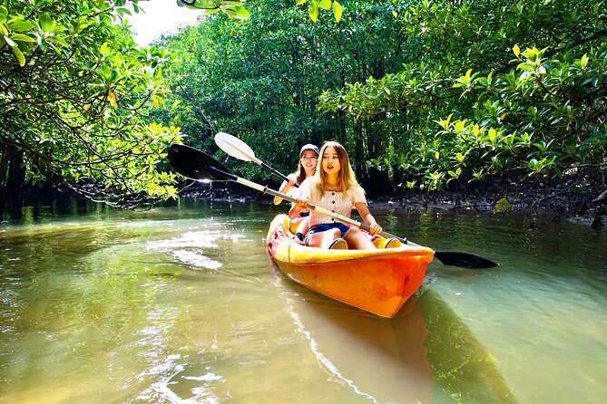 Okinawa Iriomote Mangrove SUP or Canoe Tour - Rain, safety, and the small details that matter