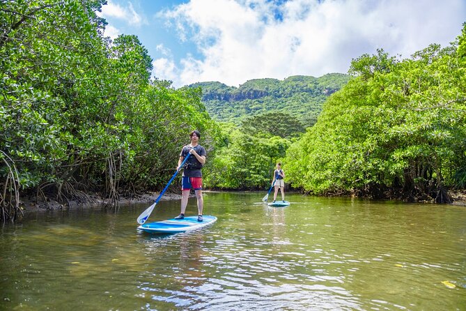 Okinawa Iriomote Mangrove SUP or Canoe Tour - Language and group size