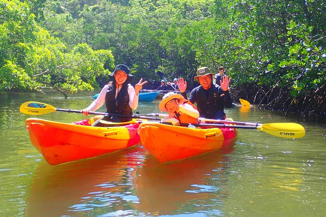 Okinawa Iriomote Mangrove SUP or Canoe Tour - Is $52.40 good value for two hours?