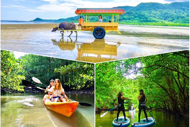 Okinawa Iriomote SUP or Canoe and Sightseeing in Yubujima Island - A gentle start on Iriomote’s mangrove rivers