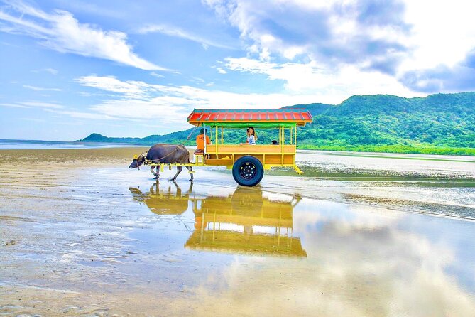 Okinawa Iriomote SUP or Canoe and Sightseeing in Yubujima Island - Yubu Island brings walking into the second half