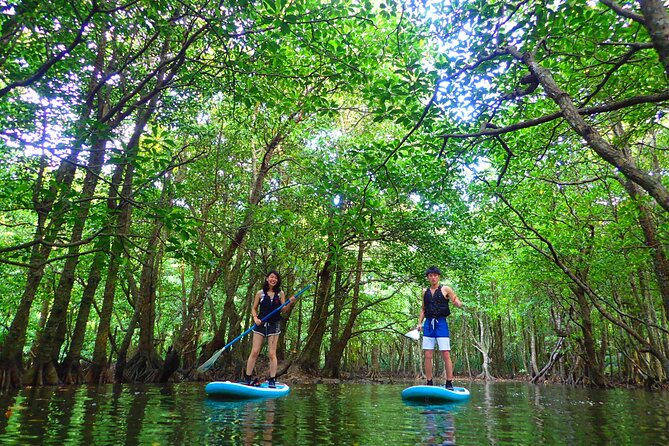 Okinawa Iriomote SUP or Canoe and Sightseeing in Yubujima Island - The language question deserves attention