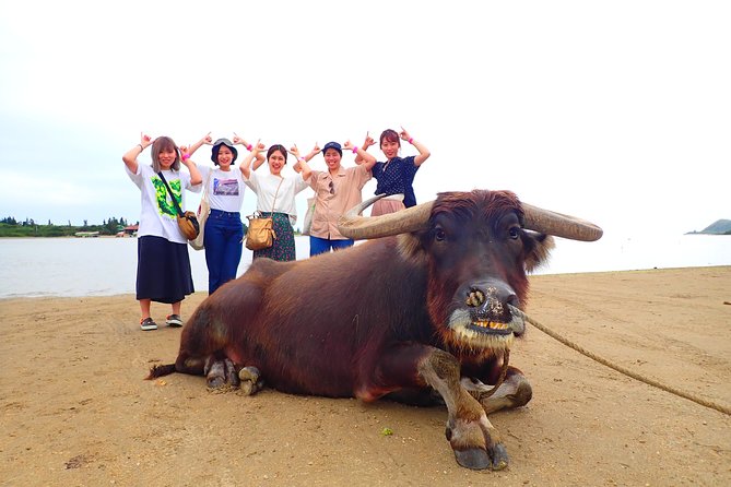Okinawa Iriomote SUP or Canoe and Sightseeing in Yubujima Island - Clothing, showers, and the no-toilet rule