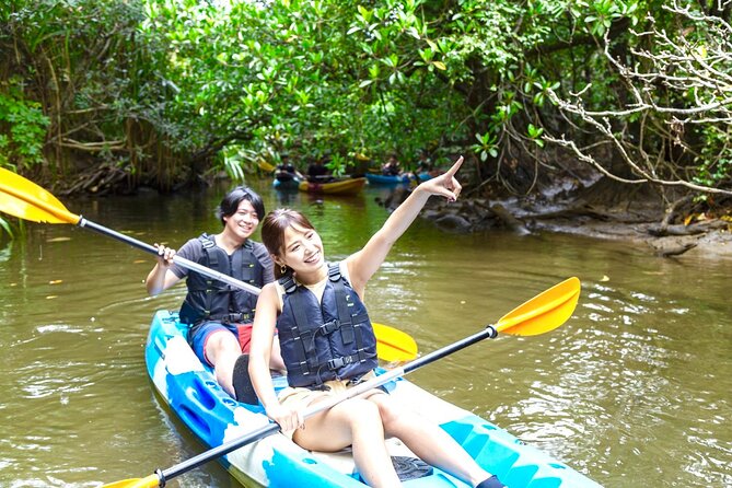 Okinawa Iriomote SUP or Canoe and Sightseeing in Yubujima Island - Should you book it?