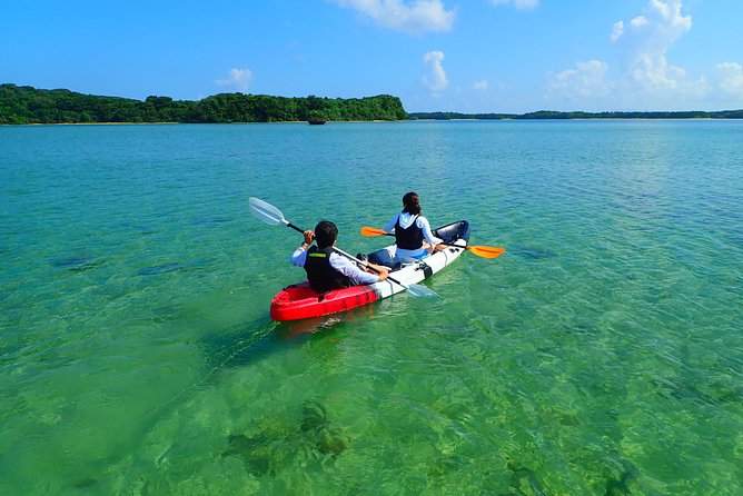Okinawa Ishigaki Kabira Bay SUP or Canoe Tour - Who will enjoy this Ishigaki activity most
