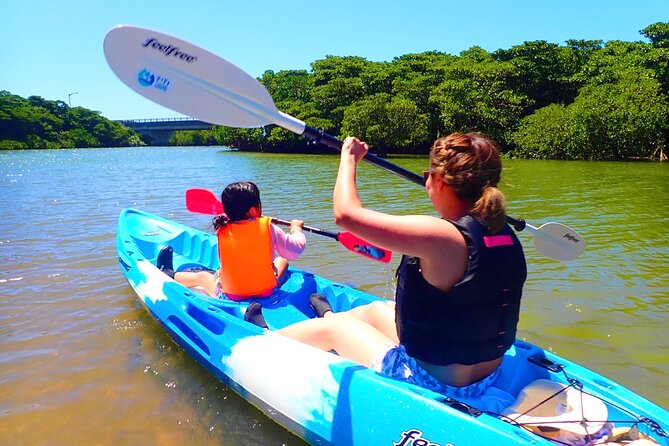 Okinawa Ishigaki Mangrove SUP or Canoe Tour - Paddling into the Miyara River mangroves