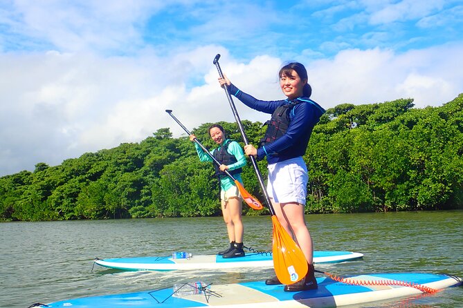 Okinawa Ishigaki Mangrove SUP or Canoe Tour - What makes Hirugi Grove worth your time
