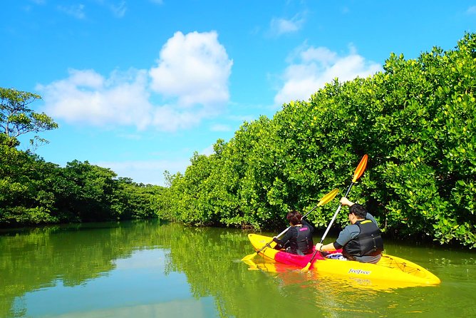 Okinawa Ishigaki Mangrove SUP or Canoe Tour - Photos add value without turning the tour into a photo shoot