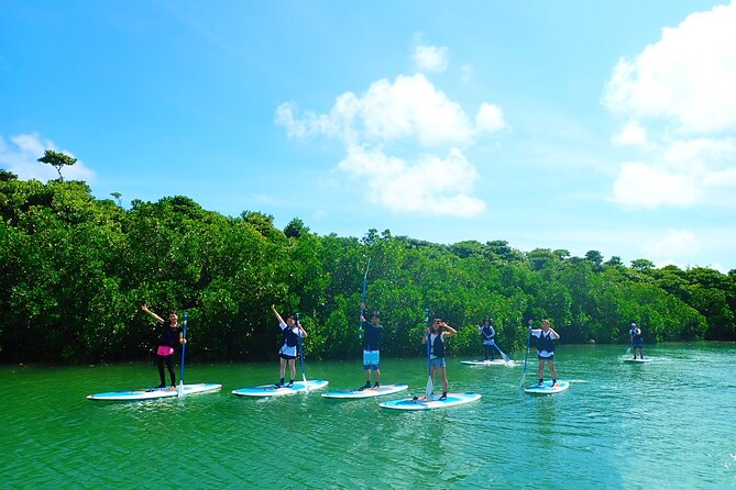 Okinawa Ishigaki Mangrove SUP or Canoe Tour - Timing, meeting point, and the small details that matter