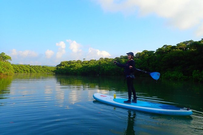 Okinawa Ishigaki Mangrove SUP or Canoe Tour - Weather, safety, and comfort after paddling