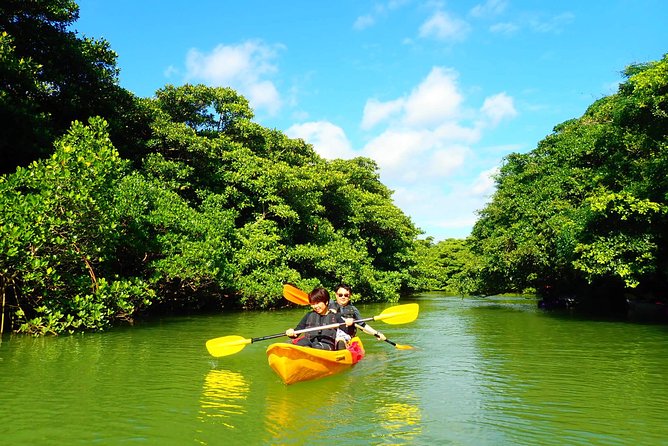 Okinawa Ishigaki Mangrove SUP or Canoe Tour - Who should book this Ishigaki outing?