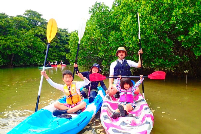 Okinawa Ishigaki Mangrove SUP or Canoe Tour - Guides, language, and the human side of the tour