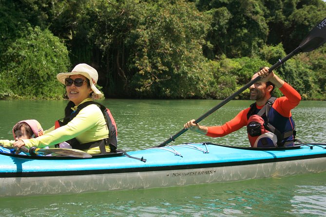 Okinawa: Kayak Mangroves & Ocean Native-English Private Tour - Starting at Lawson Nakijin in northern Okinawa