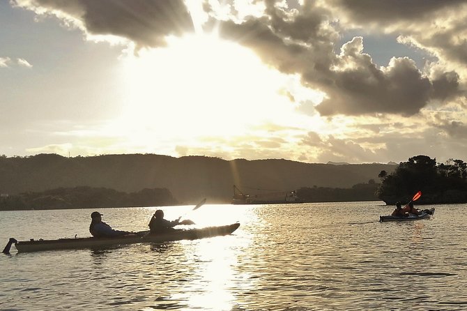 Okinawa: Kayak Mangroves & Ocean Native-English Private Tour - Choosing between mangrove channels and coral coast