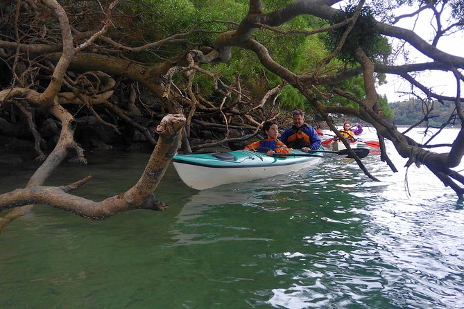 Okinawa: Kayak Mangroves & Ocean Native-English Private Tour - The first hour on the water