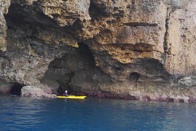 Okinawa: Kayak Mangroves & Ocean Native-English Private Tour - Tea, snacks, and a quiet beach stop