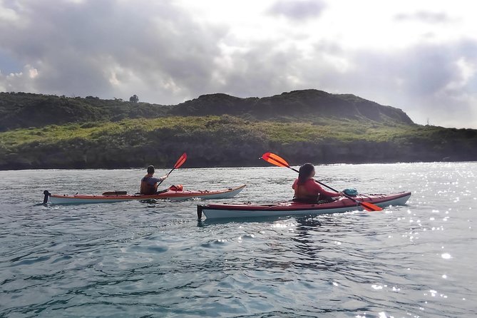 Okinawa: Kayak Mangroves & Ocean Native-English Private Tour - The second paddle and the return to Lawson Nakijin