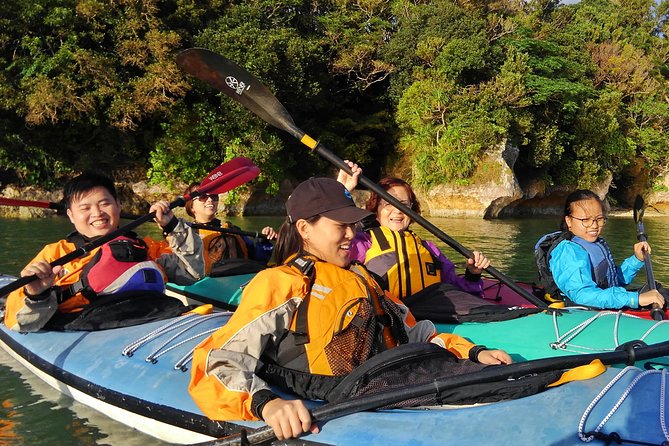 Okinawa: Kayak Mangroves & Ocean Native-English Private Tour - A calm, useful kayak lesson before the paddle