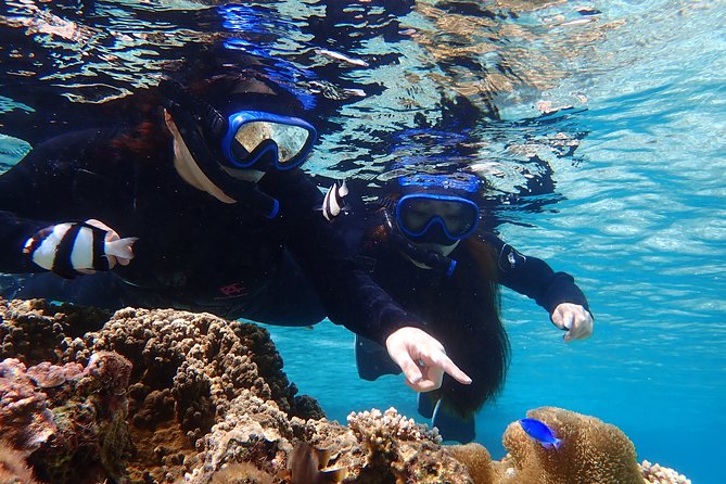 Okinawa Miyako 3set Beach SUP, Snorkeling,Pumpkin Cave,Canoeing - Who will get the most from this tour